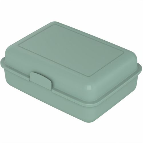 Bio-Vorratsdose "School-Box" groß (Art.-Nr. CA002751) - Do it green! Schicke Brotzeitbox mit...