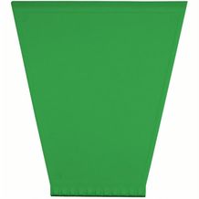 Eiskratzer "Trapez" (standard-grün) (Art.-Nr. CA190764)