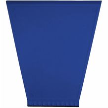 Eiskratzer "Trapez" (standard-blau PP) (Art.-Nr. CA370234)
