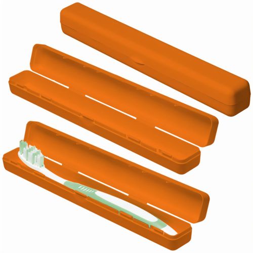 Schutzbox "Zahnbürste" (Art.-Nr. CA750852) - Kunststoffdose zum Aufklappen mit Platz...