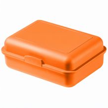 Vorratsdose "School-Box" groß (standard-orange) (Art.-Nr. CA805118)