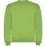 Clasica Sweatshirt mit Rundhalsausschnitt für Kinder (oasis green) (Art.-Nr. CA107632)