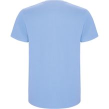 Stafford T-Shirt für Kinder (himmelblau) (Art.-Nr. CA109189)