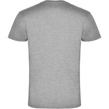 Samoyedo T-Shirt mit V-Ausschnitt für Herren (Marl Grey) (Art.-Nr. CA120430)
