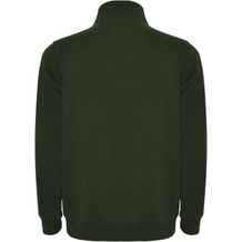 Aneto Pullover mit Viertelreißverschluss (dunkelgrün) (Art.-Nr. CA144902)