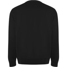 Batian Sweatshirt mit Rundhalsausschnitt Unisex (Schwarz) (Art.-Nr. CA178037)