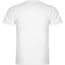 Samoyedo T-Shirt mit V-Ausschnitt für Herren (Weiss) (Art.-Nr. CA178266)