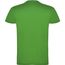 Beagle T-Shirt für Kinder (GRASS GREEN) (Art.-Nr. CA196791)