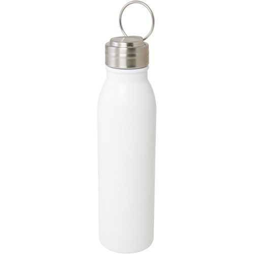 Harper 700 ml RCS-zertifizierte Sportflasche aus Edelstahl mit Metallschlaufe (Art.-Nr. CA201248) - RCS-zertifizierte, einwandige Wasserflas...