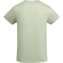 Breda T-Shirt für Herren (MIST GREEN) (Art.-Nr. CA210038)