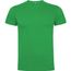 Dogo Premium T-Shirt für Kinder (Irish green) (Art.-Nr. CA219660)