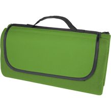 Salvie Picknickdecke aus recyceltem Kunststoff (grün) (Art.-Nr. CA227513)
