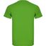 Montecarlo Sport T-Shirt für Kinder (Green Fern) (Art.-Nr. CA232473)