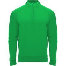 Epiro Half-Zip Sweatshirt Unisex (farngrün) (Art.-Nr. CA234621)