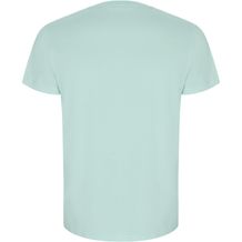 Golden T-Shirt für Herren (Mintgrun) (Art.-Nr. CA327496)