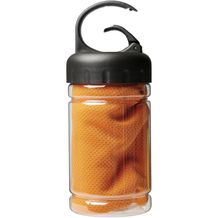 Remy Kühlhandtuch in PET-Behälter (orange) (Art.-Nr. CA376751)
