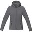 Langley Softshelljacke für Damen (stahlgrau) (Art.-Nr. CA496608)