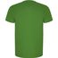 Imola Sport T-Shirt für Kinder (Green Fern) (Art.-Nr. CA691933)
