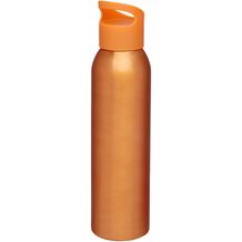Sky 650 ml Sportflasche (orange) (Art.-Nr. CA911516)