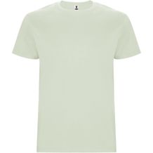 Stafford T-Shirt für Herren (MIST GREEN) (Art.-Nr. CA994432)