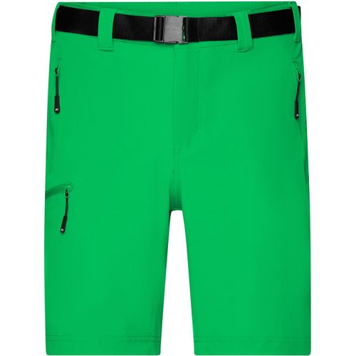 Men's Trekking Shorts - Bi-elastische kurze Outdoorhose [Gr. L] (Art.-Nr. CA023608) - Leichtes, robustes und bi-elastisches...