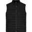 Men's Padded Vest - Steppweste mit Stehkragen für Promotion und Lifestyle [Gr. L] (black) (Art.-Nr. CA217037)