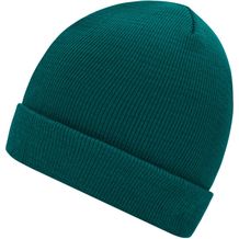 Knitted Cap - Klassische Strickmütze in vielen Farben (grün) (Art.-Nr. CA242508)