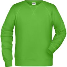 Men's Sweat - Klassisches Sweatshirt mit Raglanärmeln [Gr. M] (lime-green) (Art.-Nr. CA251276)