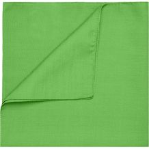 Bandana - Multifunktionelles Viereck-Tuch (lime-green) (Art.-Nr. CA483621)