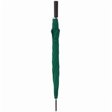 doppler Regenschirm Dublin AC (grün) (Art.-Nr. CA323363)
