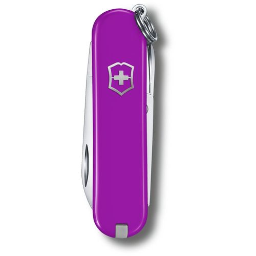 Schweizer Taschenmesser Victorinox Rambler (Art.-Nr. CA106687) - Mini-Taschenmesser mit 10 Funktionen:...