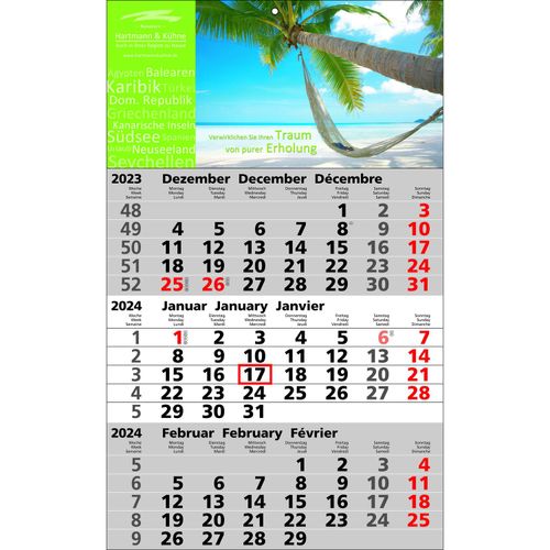 Papierwandkalender Standard 2 (Art.-Nr. CA189406) - Papierwandkalender mit 3 Monaten auf...