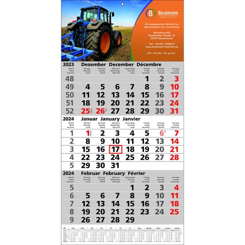 Papierwandkalender Top 12 (Art.-Nr. CA270325) - Papierwandkalender mit 3 Monaten auf...