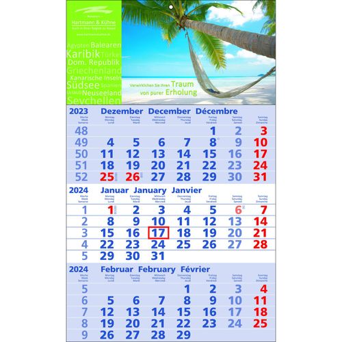 Papierwandkalender Standard 2 (Art.-Nr. CA485431) - Papierwandkalender mit 3 Monaten auf...