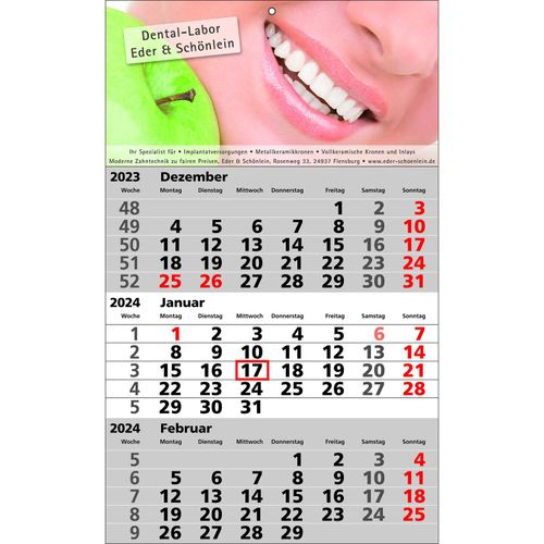 Papierwandkalender Standard 1 (Art.-Nr. CA691833) - Papierwandkalender mit 3 Monaten auf...
