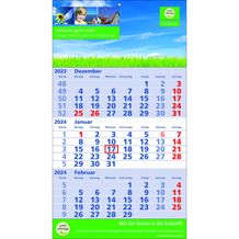 Papierwandkalender Standard 2 plus (Kalendarium blau / rot) (Art.-Nr. CA909208)