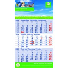 Papierwandkalender Standard 2 plus (Kalendarium blau / rot) (Art.-Nr. CA992061)