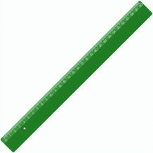Lineal 30 cm (grün) (Art.-Nr. CA190774)