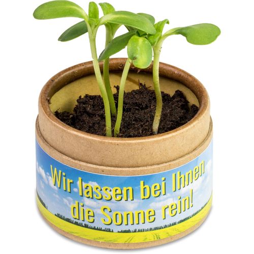 Pflanz-Cup mit Samen - Ringelblume (Art.-Nr. CA008207) - Aus Kraftpapier produziert und mit...
