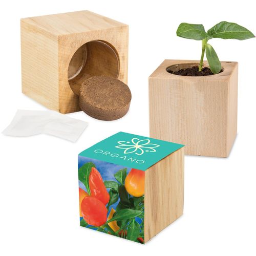 Pflanz-Holz Maxi mit Samen - Gewürzpaprika (Art.-Nr. CA017052) - Dieser Würfel aus hellem, europäischen...