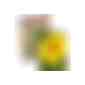 Samentütchen Mini - Graspapier - Sonnenblumen (Art.-Nr. CA024876) - Das Samentütchen kann komplett selbs...