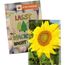 Samentütchen Mini - Graspapier - Sonnenblumen (individuell) (Art.-Nr. CA024876)
