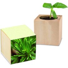 Pflanz-Holz mit Samen (Graspapier-Banderole) - Fichte (individuell) (Art.-Nr. CA024957)