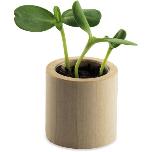 Pflanz-Holz rund mit Samen - Glücksklee-Zwiebel (* Je nach Verfügbarkeit der Glücksklee-Zwiebeln) (Art.-Nr. CA035971) - Das dekorative Pflanz-Holz rund aus...