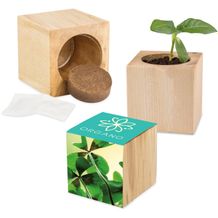 Pflanz-Holz Maxi mit Samen - Glücksklee-Zwiebel, 1 Seite gelasert (* Je nach Verfügbarkeit der Glücksklee-Zwiebeln) (individuell) (Art.-Nr. CA043249)