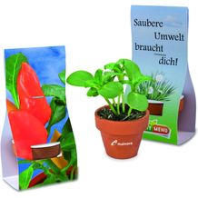 Logo-Töpfchen Überreichverpackung mit Samen - Gewürzpaprika (individuell) (Art.-Nr. CA049154)