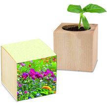 Pflanz-Holz mit Samen (Graspapier-Banderole) - Sommerblumenmischung, 1 Seite gelasert (individuell) (Art.-Nr. CA057155)