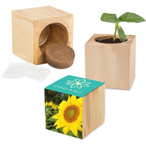 Pflanz-Holz Maxi mit Samen - Sonnenblume, 1 Seite gelasert (Art.-Nr. CA073997) - Dieser Würfel aus hellem, europäischen...