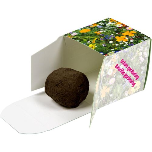 Flower-Ball 1er Box - Standardmotiv (Art.-Nr. CA076992) - Seedbombs, bestehend aus Sommerblumensam...