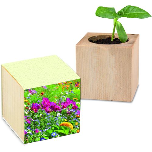 Pflanz-Holz mit Samen (Graspapier-Banderole) - Sommerblumenmischung (Art.-Nr. CA094468) - Der Würfel aus hellem europäischem Hol...